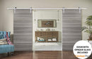 Planum 0020 Ginger Ash Double Barn Door and Silver Rail