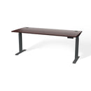Atlas Custom Standing Computer Desk 67" - 72"
