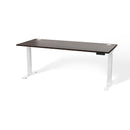 Atlas Custom 60" - 66" Sit-Stand Desk