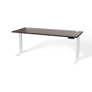 Atlas 72" Height Adjustable Standing Desk