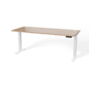 Atlas 72" Height Adjustable Standing Desk