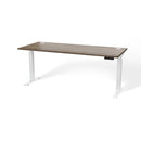 Atlas Custom 60" - 66" Sit-Stand Desk