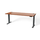 Atlas Custom Standing Computer Desk 67" - 72"
