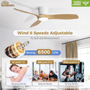 52 Inch Smart Ceiling Fan With Lights Remote App Control