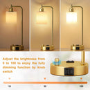 Industrial Table Lamps With USB Ports Dimmable Gold Shade