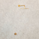 Antique Brass Shower with Single Handle