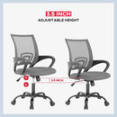 Ergonomic Mesh Office Chair With Lumbar Support Grey
