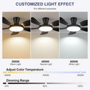 48 Inch Black Ceiling Fan With DC Motor Remote LED