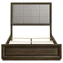 Atlas 64-inch Queen Upholstered Panel Bed Grey and Dark Oak