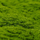Sample Panel – Evergreen Moss Mat (Small Sample)