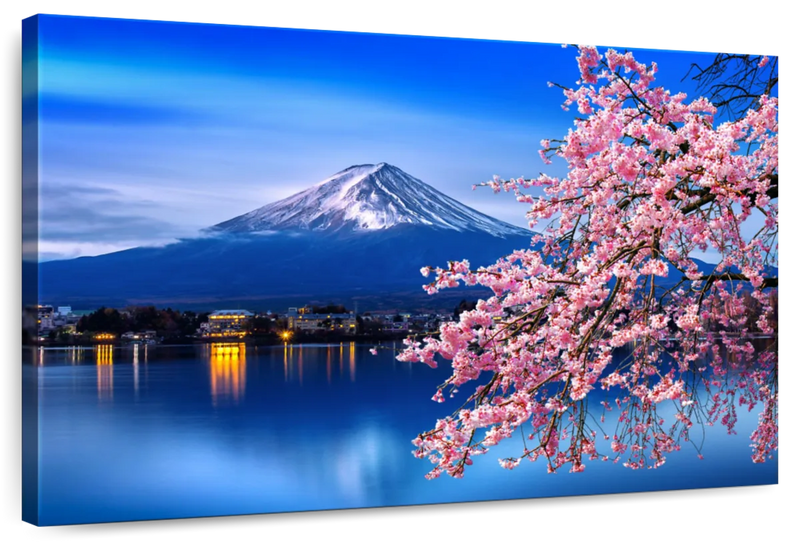 Sakura In Spring Wall Art