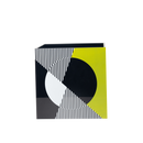 Single Orchid Holder - Black, White and Yellow Kinetic