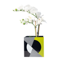 Single Orchid Holder - Black, White and Yellow Kinetic