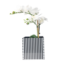 Single Orchid Holder - Black and White Pattern