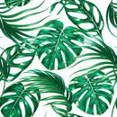 Fashionable Monstera Plants Wallpaper Tasteful