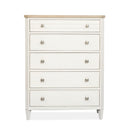 Echo Isles - Drawer Chest - Sea Pearl And Driftwood