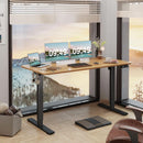 Electric Height Adjustable Standing Desk 55x24 Memory Preset