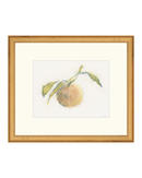Pastel Orange I