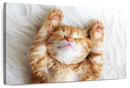 Sleepy Kitty Wall Art