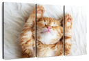 Sleepy Kitty Wall Art