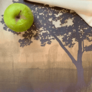 24 Paper Placemats - Savanna