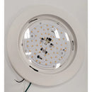 8" Bubble Lens Surface Mount Light Fixture