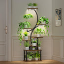 8 Tiered 62" Plant Stand Indoor with Grow Lights, S-Shaped Plant Rack for Home,Patio