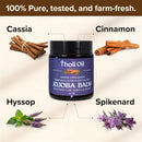 Jojoba Balm | Multiple Sizes | Vegan & Made in the USA | tHoli