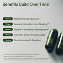 Seed DS-01 Daily Synbiotic - Adult Probiotic + Prebiotic - 60-Day Refill