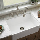 Brushed Nickel Kitchen Sink Garbage Disposal Flange Stopper
