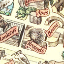 Vintage Map of Zoological Gardens Regent Park, 1947