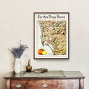 Vintage Map of San Diego Bay, California 1899