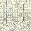 Vintage Map of Fresno, California 1920