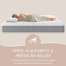 Firm Queen 14 Inch Mattress Hybrid Lumbar Support Plus