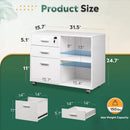 Three Drawer File Cabinet With Printer Stand Locking Wheels