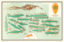 Vintage Map of Arrowhead Country Club, 1960