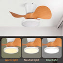 22 Inch Ceiling Fan With LED Light For Kitchen And Bedroom