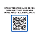 52 Piece Smart Slides Activity Set