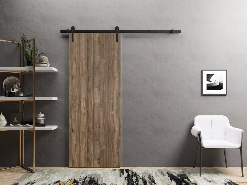 Planum 0010 Walnut Barn Door and Black Rail