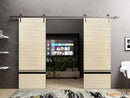 Planum 0012 Natural Veneer Double Barn Door and Silver Rail
