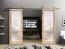 Planum 2102 Oak Double Barn Door with Frosted Glass and Silver Rail