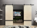 Planum 0012 Natural Veneer Double Barn Door and Black Rail