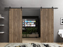 Planum 0010 Walnut Double Barn Door and Black Rail