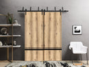 Planum 0012 Oak Double Barn Door and Black Bypass Rail