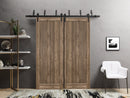 Quadro 4111 Walnut Double Barn Door and Black Bypass Rail