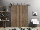 Planum 0010 Walnut Double Barn Door and Black Bypass Rail