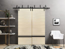 Planum 0012 Natural Veneer Double Barn Door and Black Bypass Rail