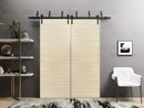 Planum 0010 Natural Veneer Double Barn Door and Black Bypass Rail