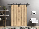 Planum 0010 Oak Double Barn Door and Black Bypass Rail