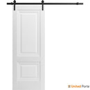 Lucia 8831 White Silk Barn Door and Black Rail